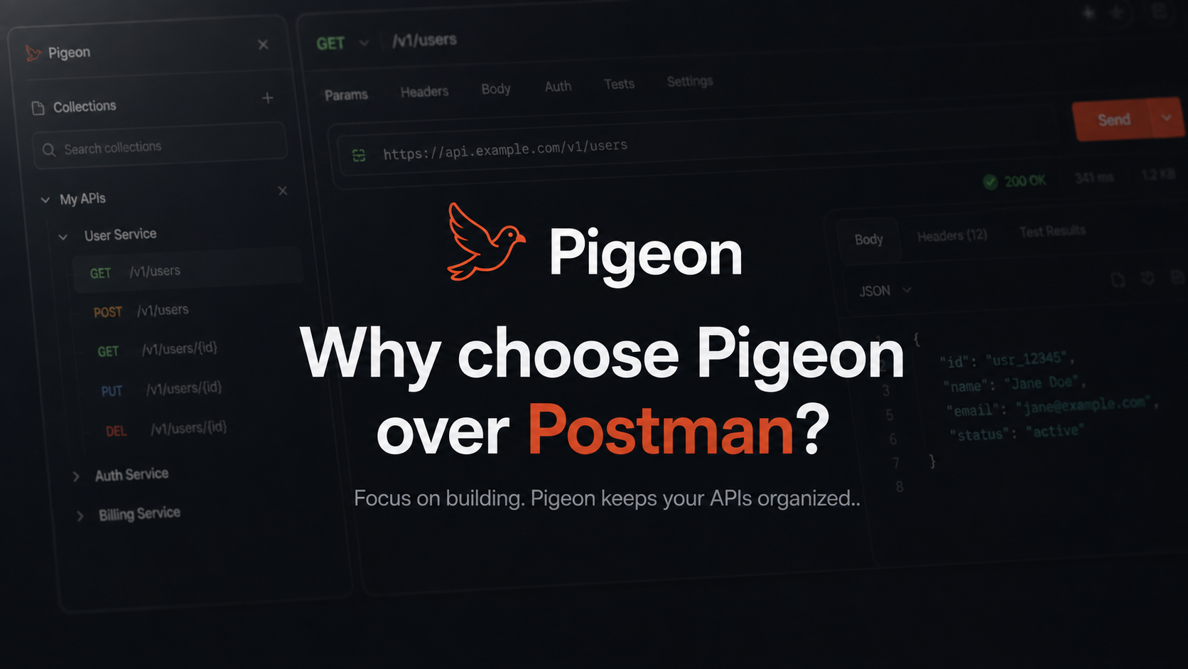 Pigeon — a local-first macOS API client, a lighter alternative to heavy workspace tools.